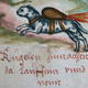 Image for article titled Amazing German Prince Wanted to Create 'Rocket Cats.'